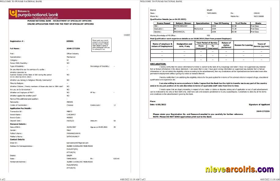 India Punjab National Bank statement Word and PDF, 2 pages